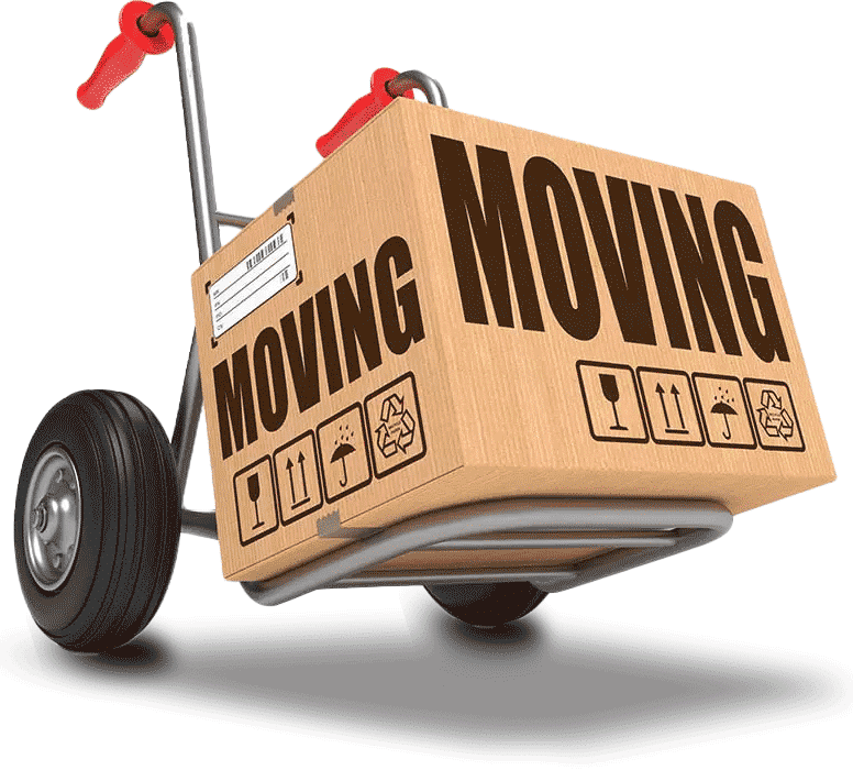 dolly-width-moving-box-trans